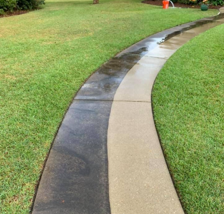 Residential walkway cleaning